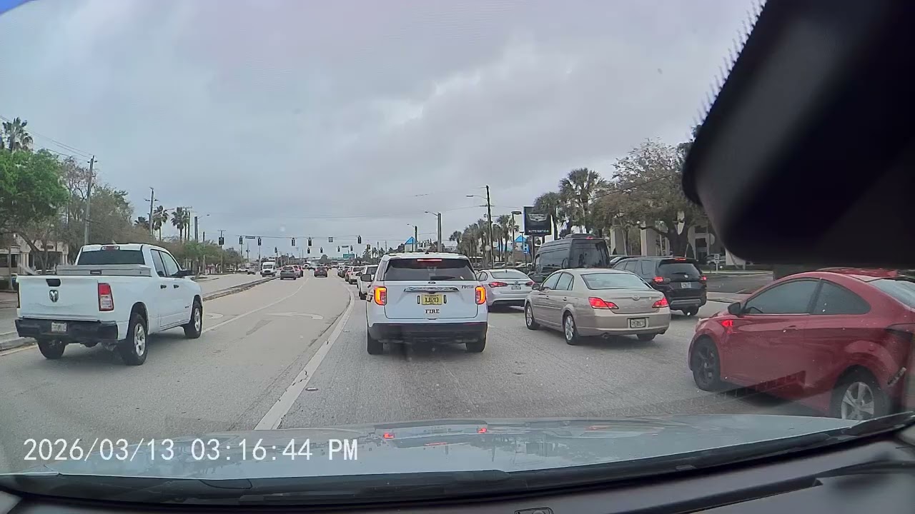 Only in Florida: The Most Unreal Highway Moment Ever Recorded