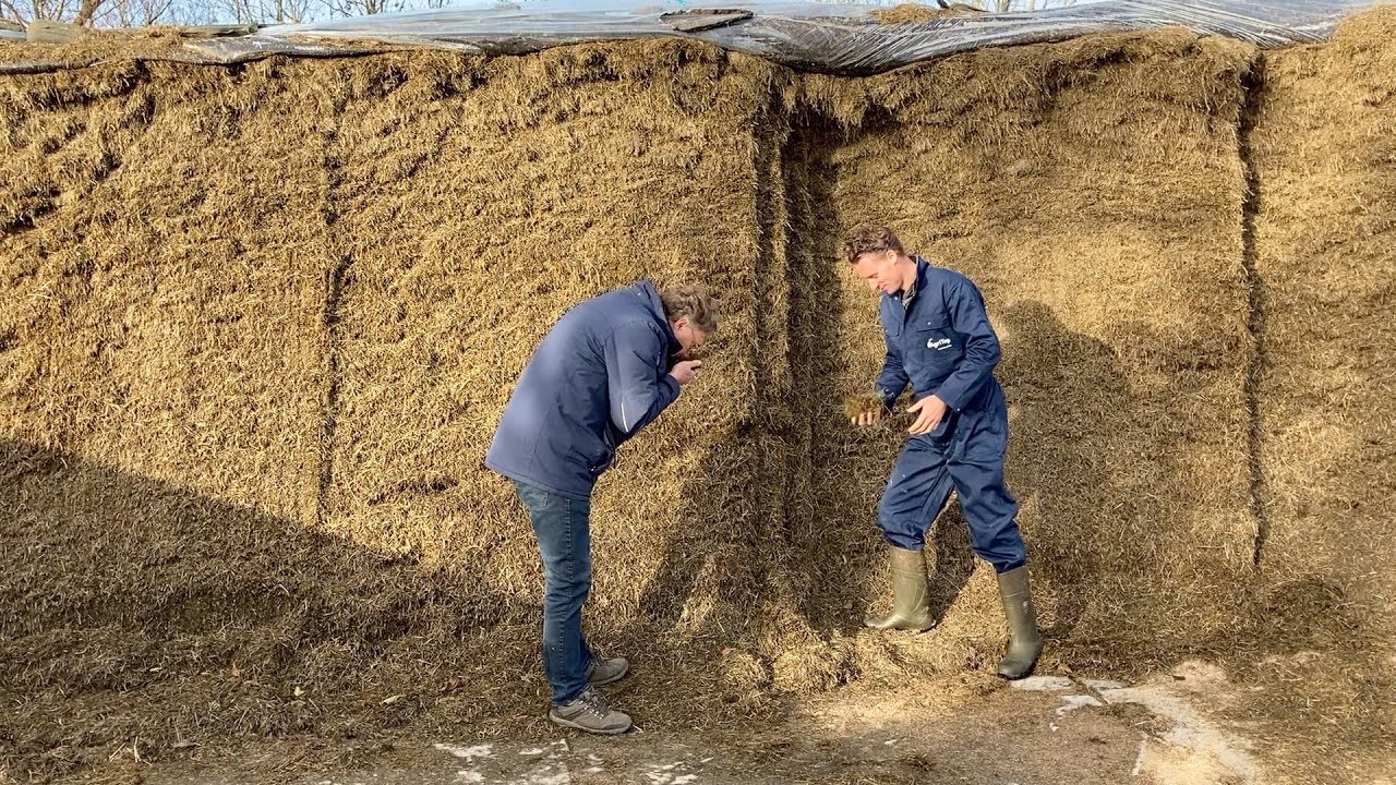Veehouders geven tips over vet & eiwit | Jan Schuijt, melkveehouder in Sint Maartensbrug (NH)