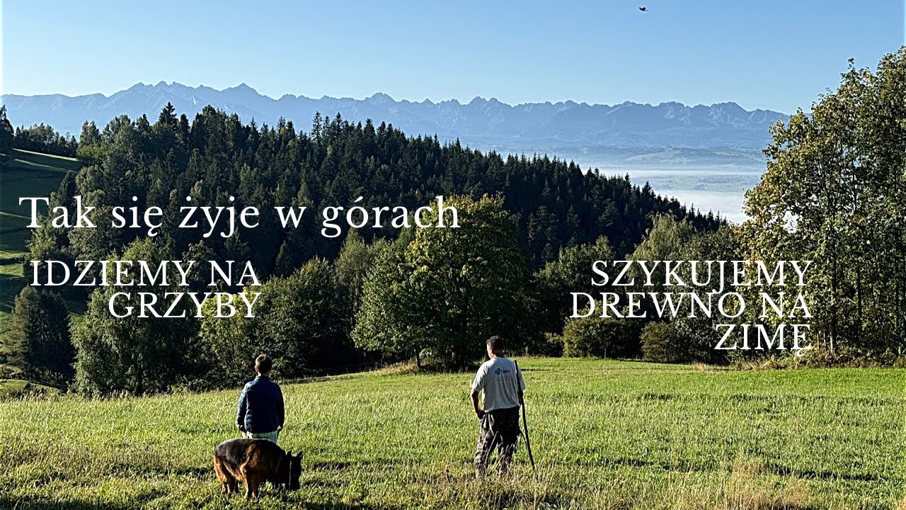 W górach jesień grzybami się zaczyna.. Chodźcie z nami na spacer po piękne widoki| Vlog🍁⛰️🍄
