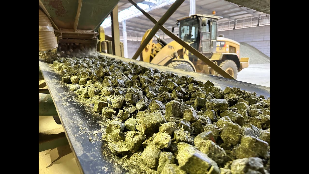 From our production plant to your horse