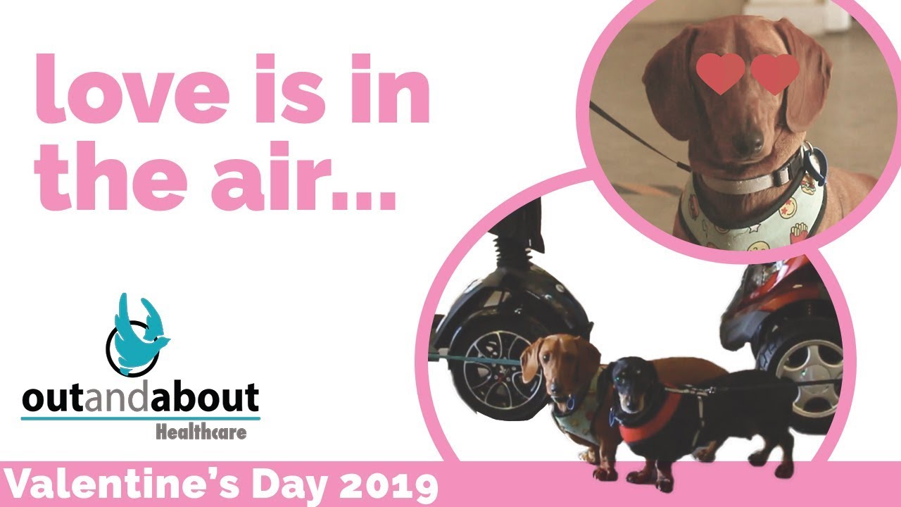 Love is in the air at Out and About Healthcare...🐶❤️