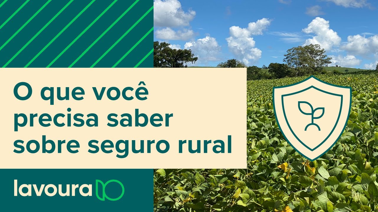 Seguro rural: Como funciona e quais as regras para contratar?