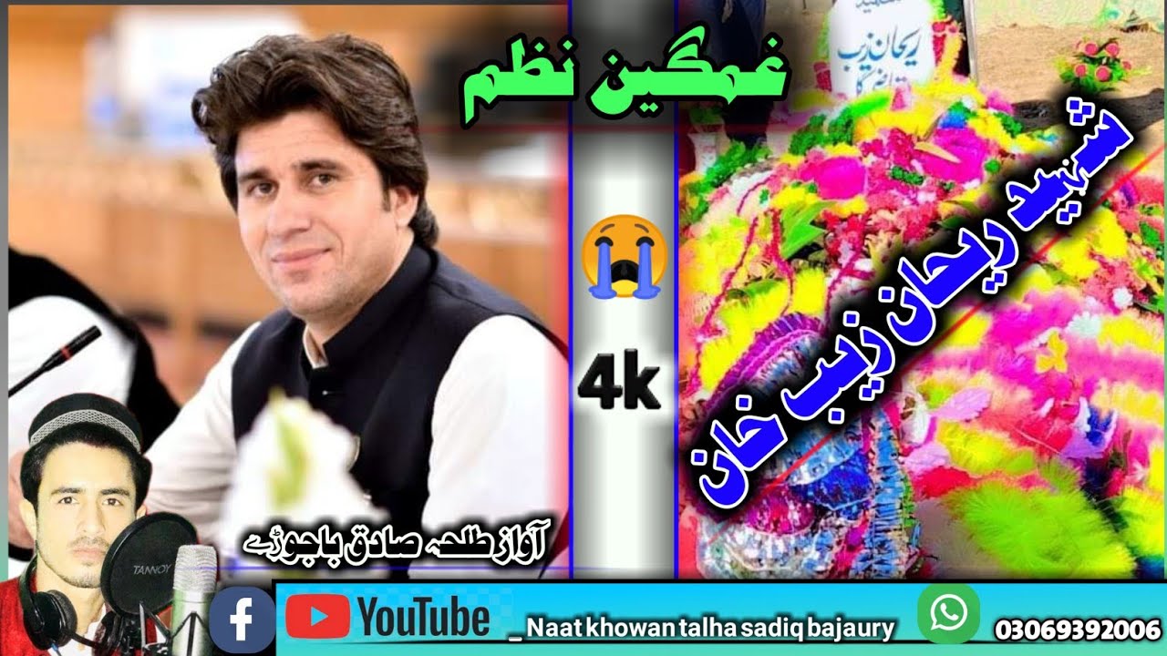 شہید ریحان زیب خان پہ یاد غمجن نظم Rehan Zeb  khan namz By Talha Sadiq Bajaury