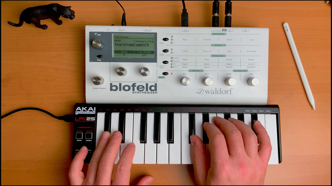 Waldorf blofeld Synthesizer