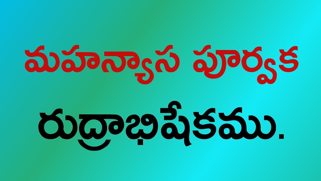 మహాన్యాస పూర్వక రుద్రాభిషేకం.