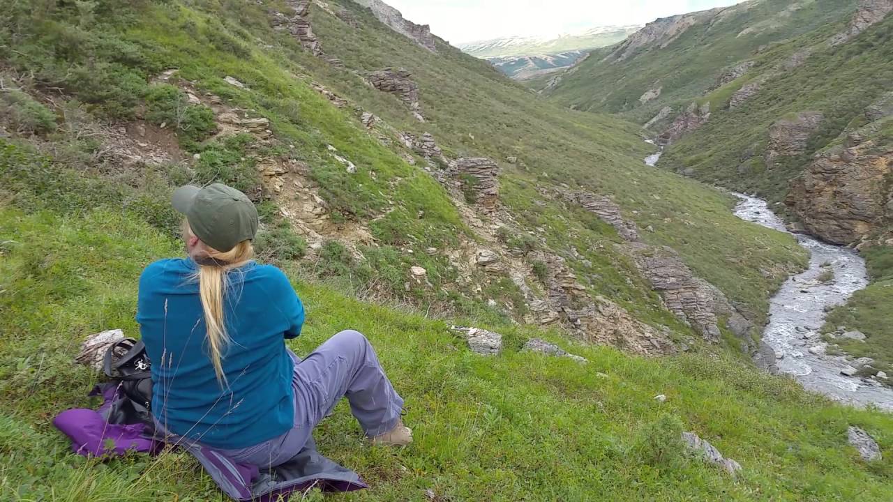 Savage River Loop Trail #9...Alpine Trail