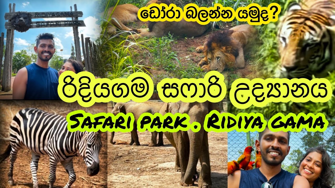 රිදියගම සෆාරි උද්‍යානය.
