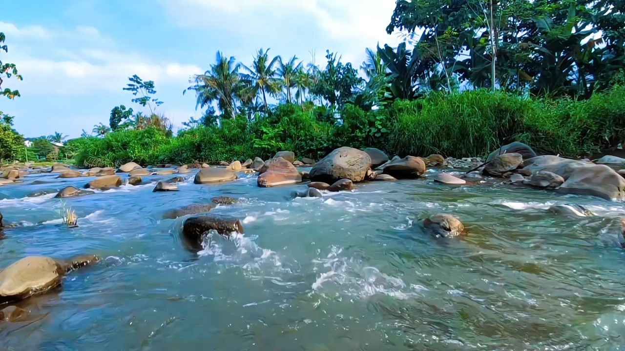 Forest River Flow for Relaxed Nights