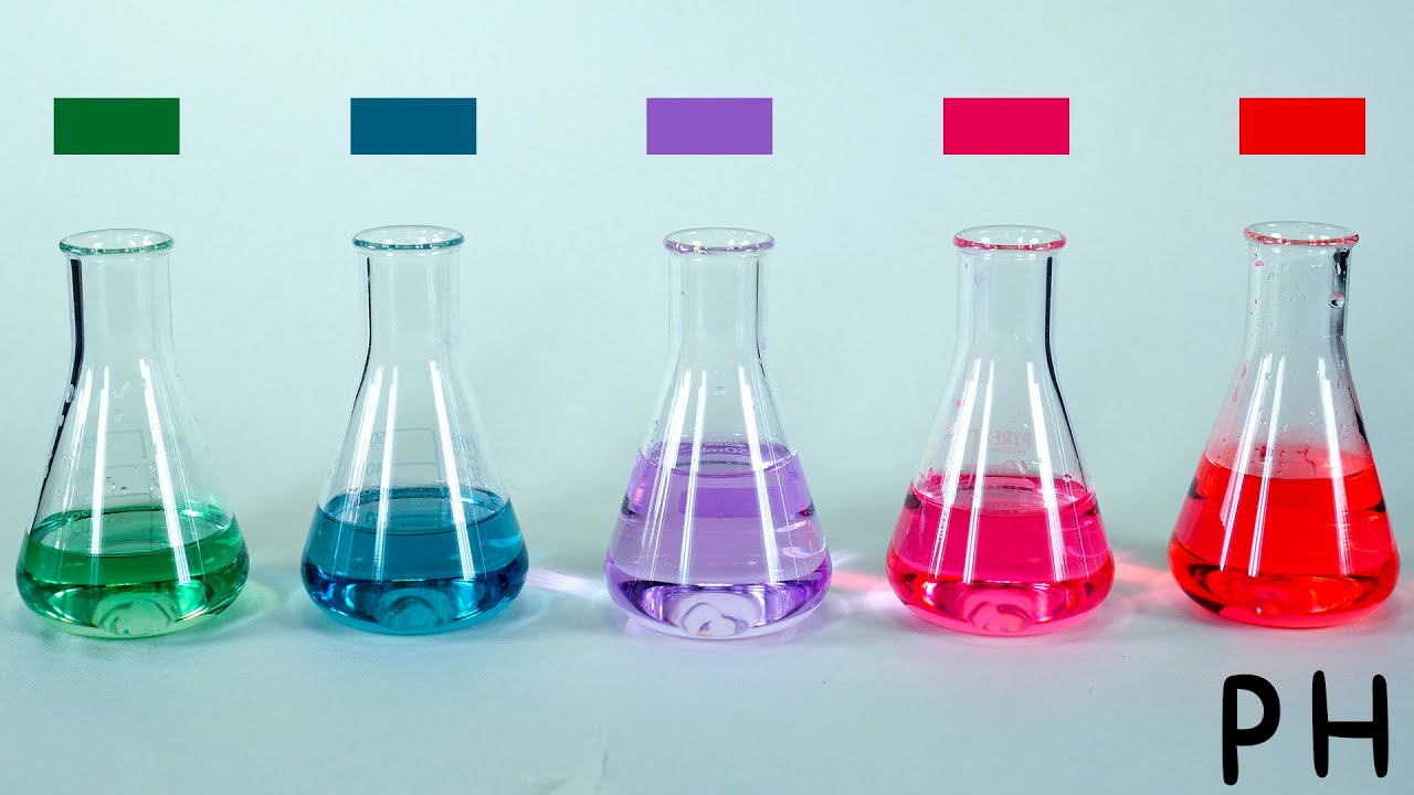 Indicador de pH de Col Lombarda. Experimentos de Química.