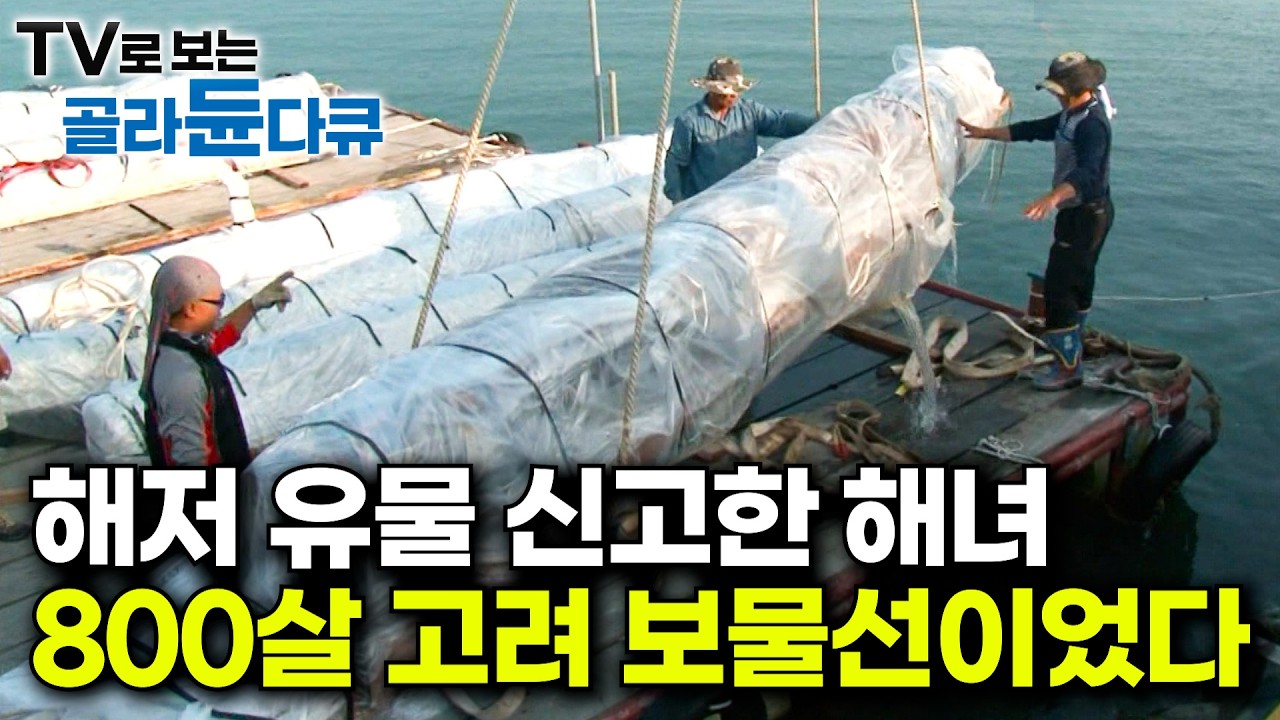 수십만점의 유물이 서해안에서 발견된다｜해삼을 캐다 청자를 발견한 해녀｜최고급으로 뽑히는 고려청자｜바다 깊숙이 천년의 세월을 담고 있는 수중문화재 발굴현장｜극한직업｜#골라듄다큐