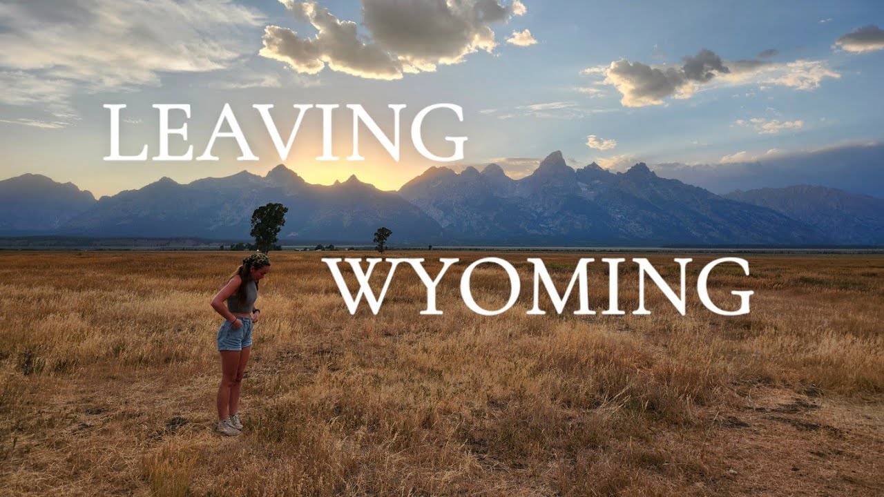 Our LAST Day in Wyoming! (BISON ENCOUNTER)