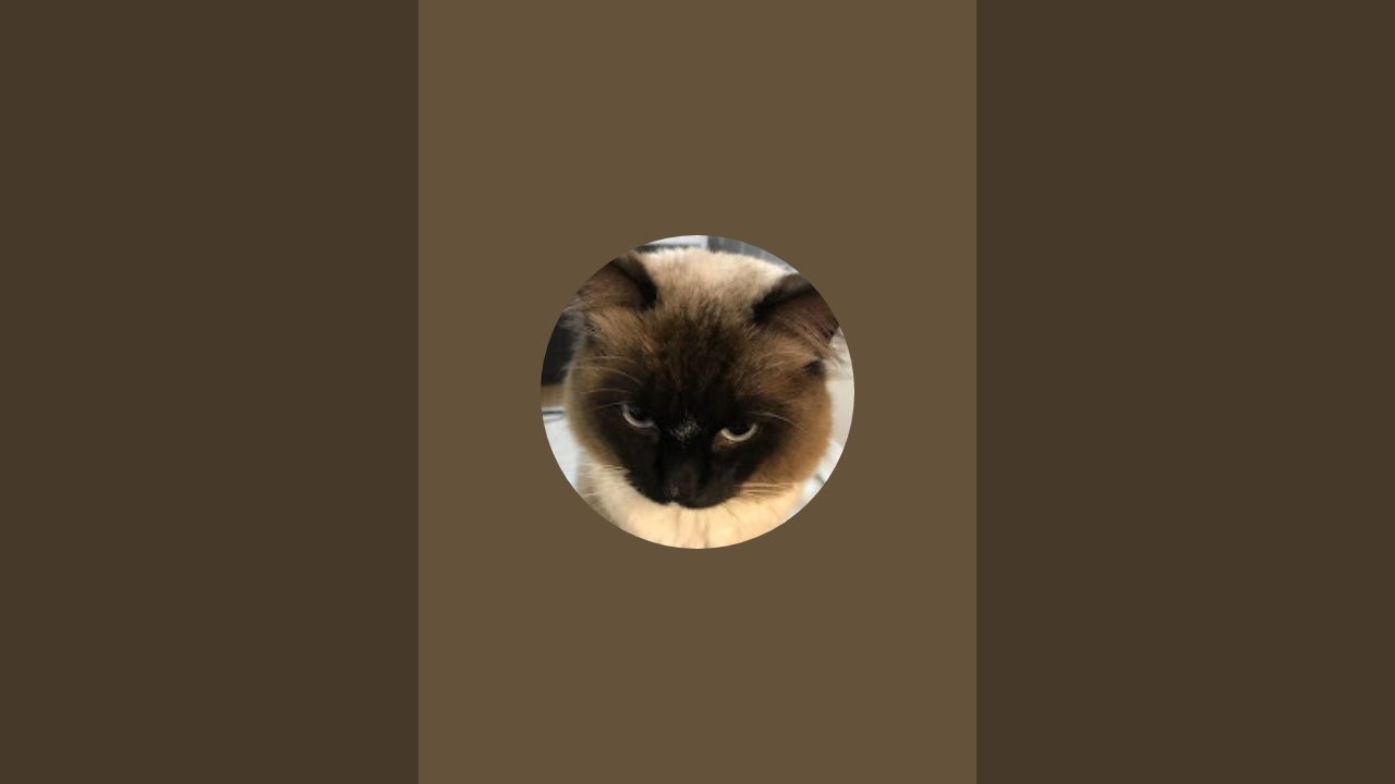 “林老师的旅行”正在直播！