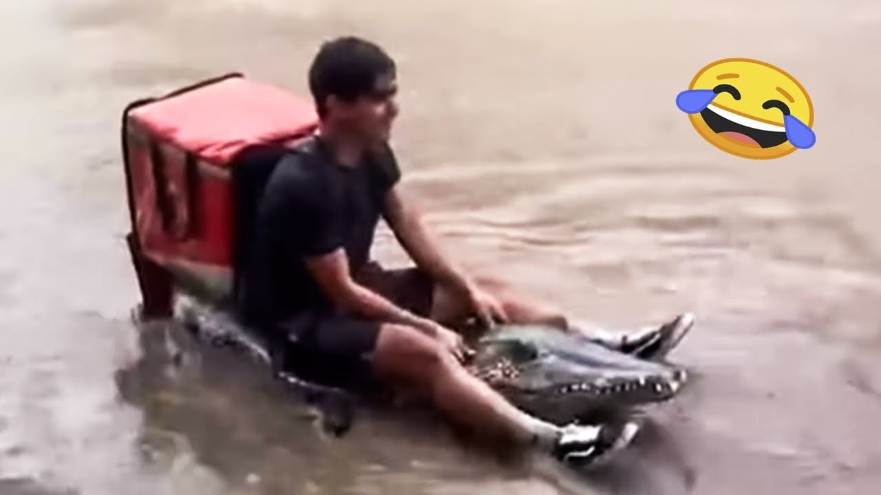 TRY NOT TO LAUGH 🤭 Best Funny Moments 🤣 Memes PART 3
