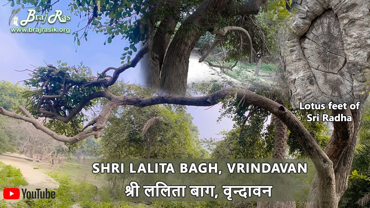 Shri Lalita Bagh, Vrindavan | Darshan & Pastimes | श्री ललिता बाग, वृन्दावन | दर्शन एवं माहात्म्य
