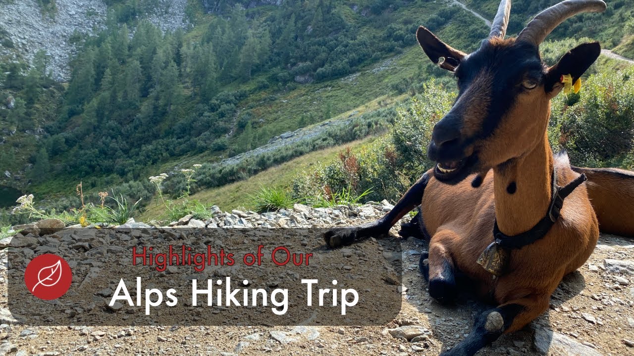 Highlights of our Hiking Trip through the Alps⛰️ - 2020