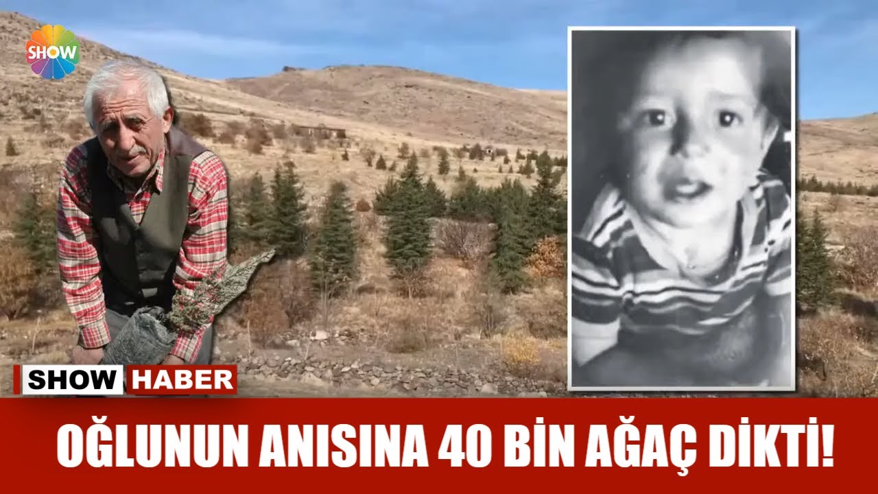 Oğlunun anısına 40 bin ağaç dikti!
