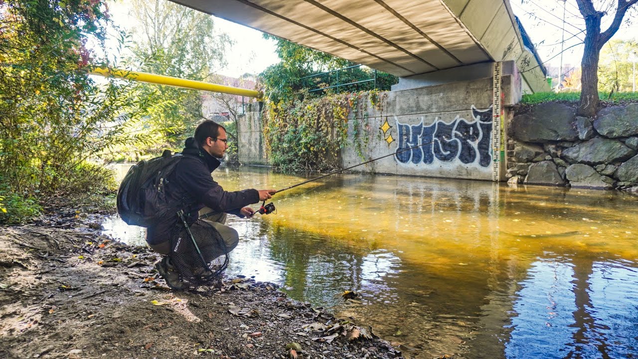 Lov ryb na potoce. Urban fishing