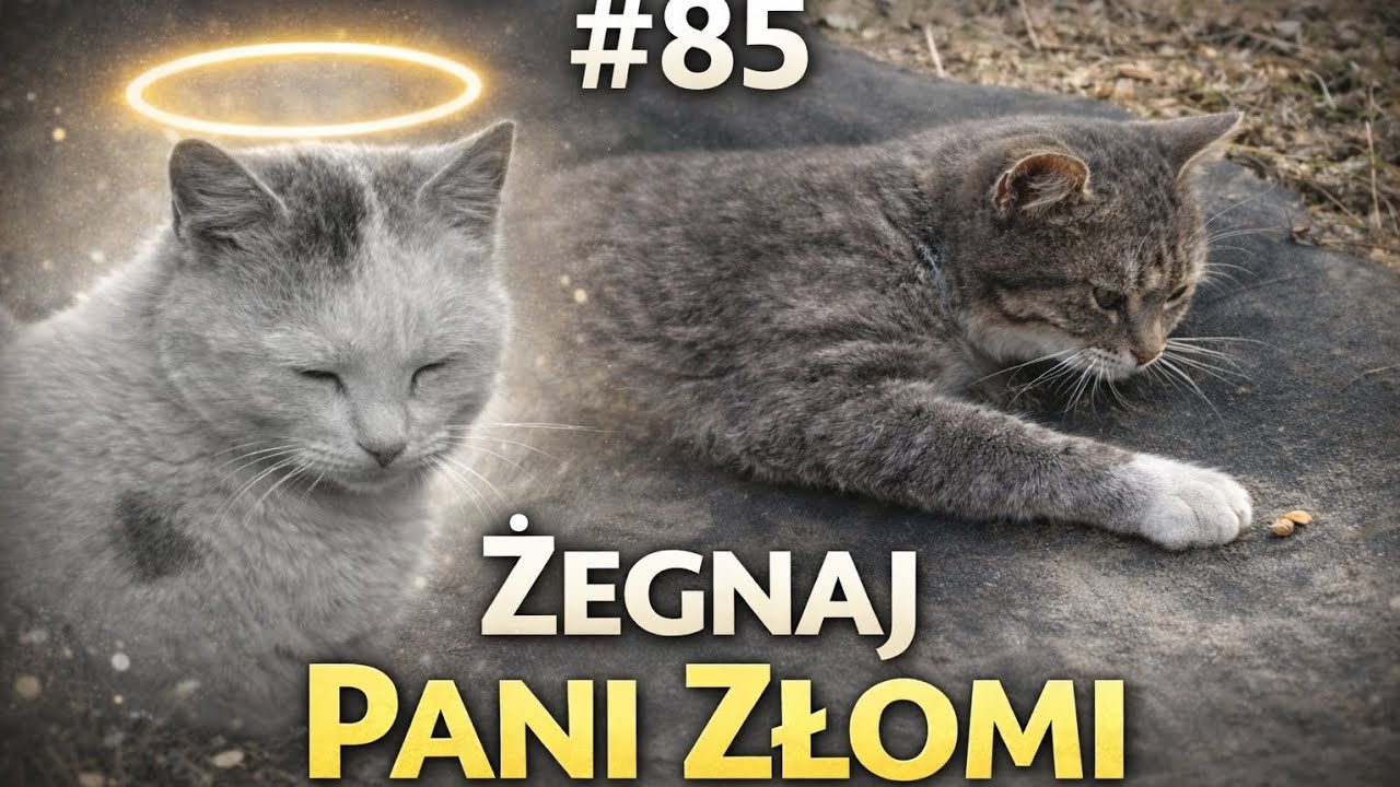 ODCINEK 84 — Nie byliśmy na to gotowi… Pani Złomi 💔