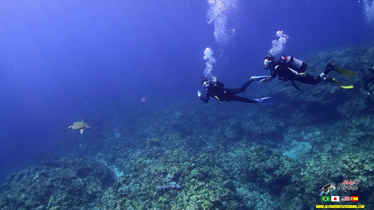 Diving in Kerama Island Okinawa - Aloha Diver Okinawa