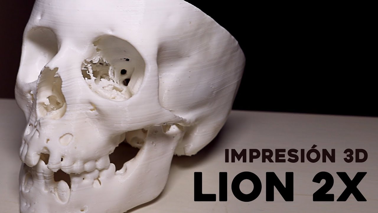 Cráneo para uso medicinal | Impresora 3D | LION 2X