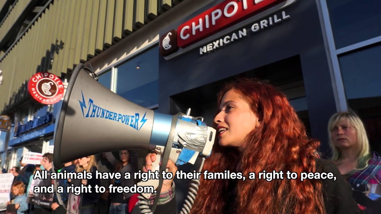 It's not Food, It's Violence (No Es Comida Es Violencia)