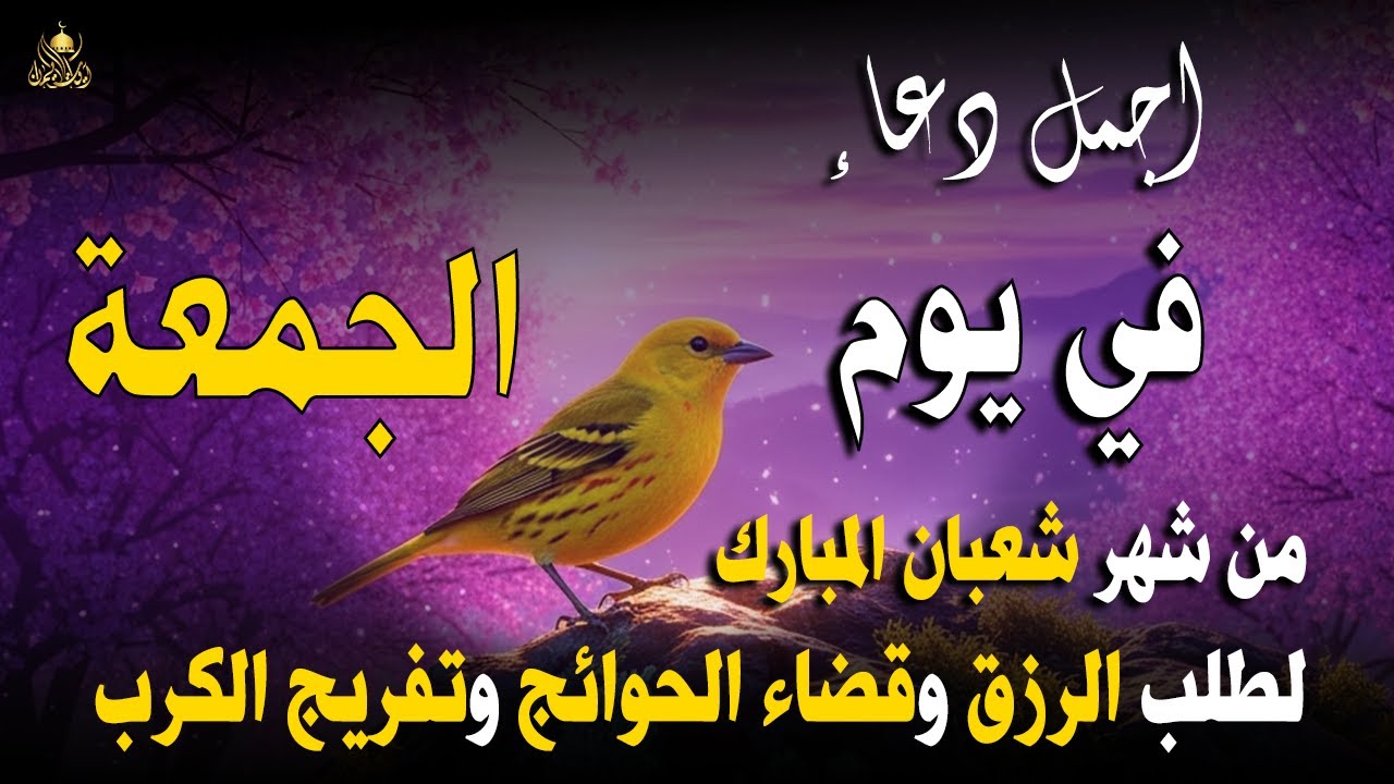 دعاء في يوم الثلاثاء المستجاب دعاء يوم 15 من شهر شعبان للرزق والشفاء العاجل وقضاء الحوائج🤲(4k)