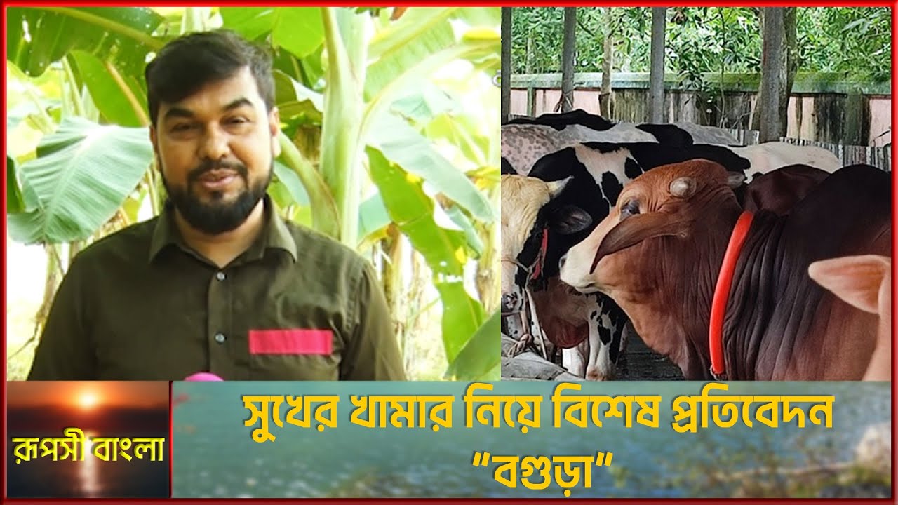 সুখের খামার নিয়ে বিশেষ প্রতিবেদন "বগুড়া" || রূপসী বাংলা || Ruposhi Bangla || Episode - 97