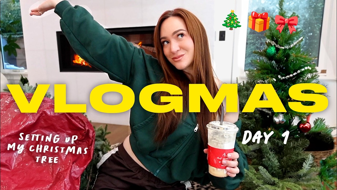 Установка рождественской елки, день рождения Зейна и первый день Vlogmas!!