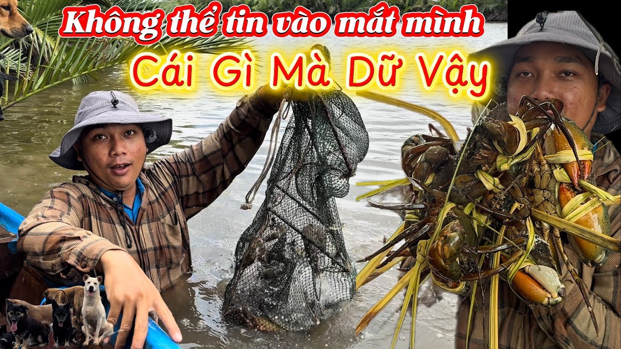 Kéo Đục Lú Lên Giật Cả Mình Không Thể Ngờ Lại Nhiều Đến Vậy - Cùng Vợ Và Bầy Cún Vào Rừng Thăm Lúl