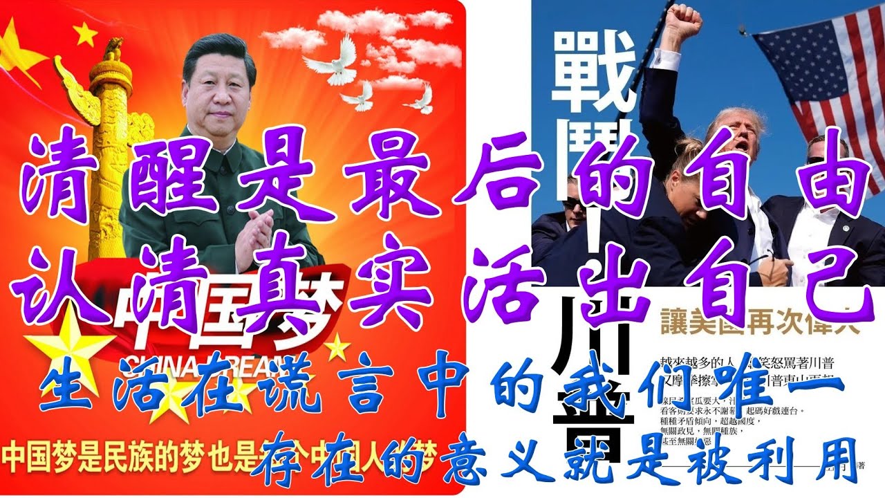 清醒，是最后的自由：认清事实、活出自己，你存在的意义就是被利用 #中国 #认知 #品牌 #就业 #生活 #洗脑 #自私 #社会