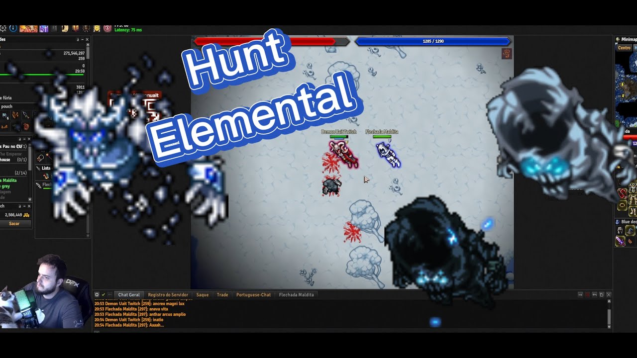 Hunt Elemental Falcon  Duo EK+ RP Medivia Online Full Profit