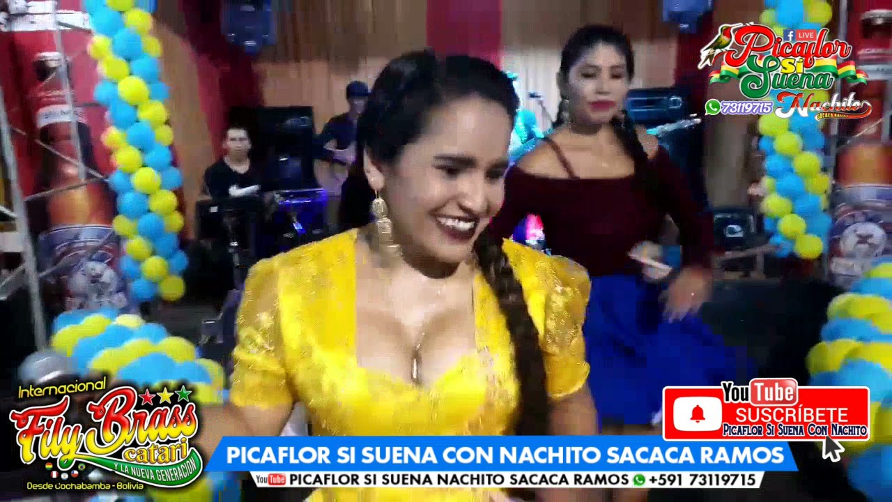 FILY BRASS CATARI EnVivo2021 dos Cervezas FILMACIÓN INÉDITA Picaflor Si Suena Con Nachito 73119715
