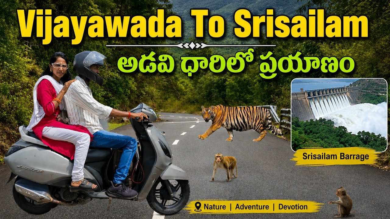 🚩Vijayawada To srisailam Trip🕉️🙏👌 | scooty🛵 | bike Ride |విజయవాడ నుంచి శ్రీశైలం యాత్ర | TVS JUPITER