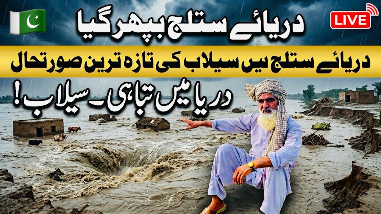 Daryae Satluj Biphar Gia | Latest Flood Situation in the Sutlej River | High Level Flood In Satluj 