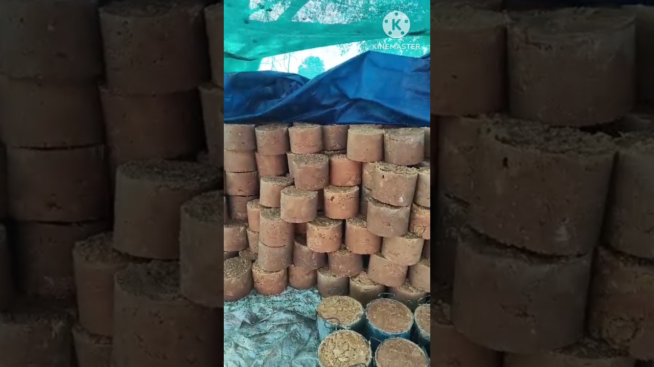 Organic jaggery making🤎🤎#jaggeryplant #organicjaggery
