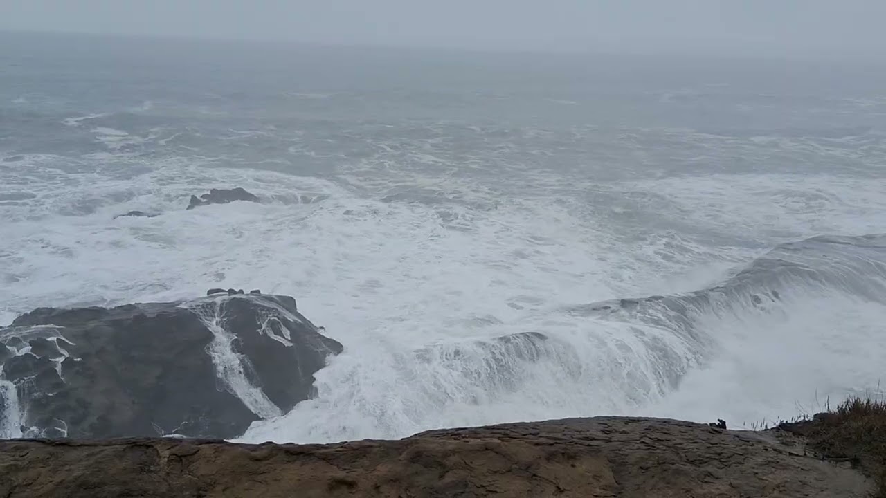 Shore Acres park, Charleston, Oregon 2025