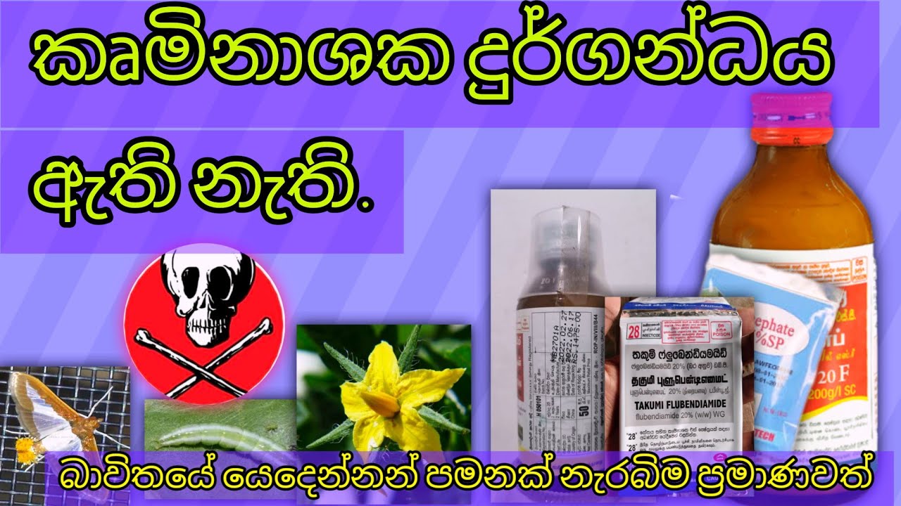 රසායනික කෘමිනාශක, ක්‍රියාකාරිත්වය අනුව mode of action