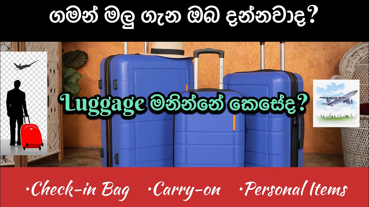 Luggage Details in Sinhala 🇱🇰 ගුවන් ගමන් මලු වර්ගීකරණය කරන්නේ කෙසේද?