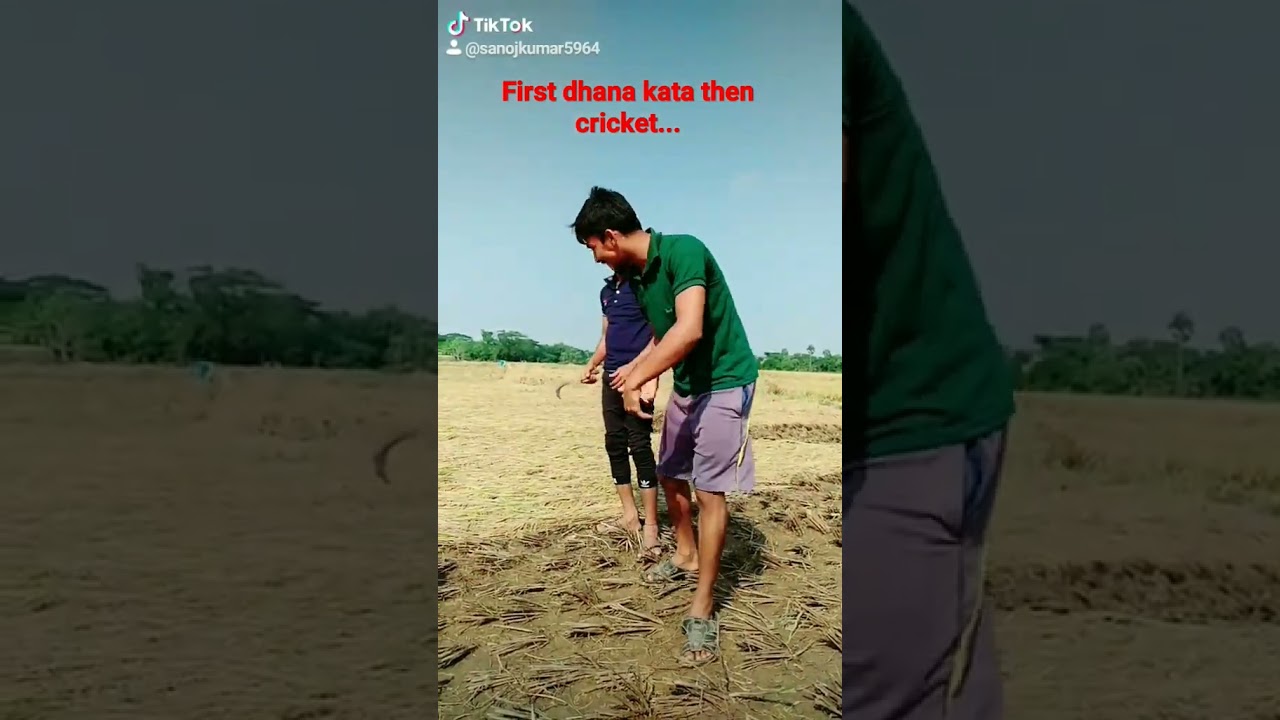 dhana katisare cricket khelibi...#rice #odisha #entertainment .....