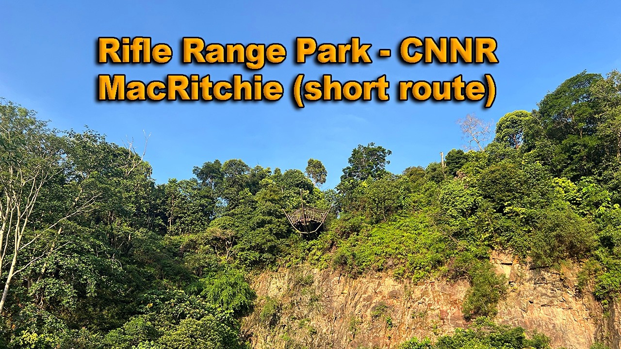 Rifle Range Park - CNNR MacRitchie short route | Nature in Singapore