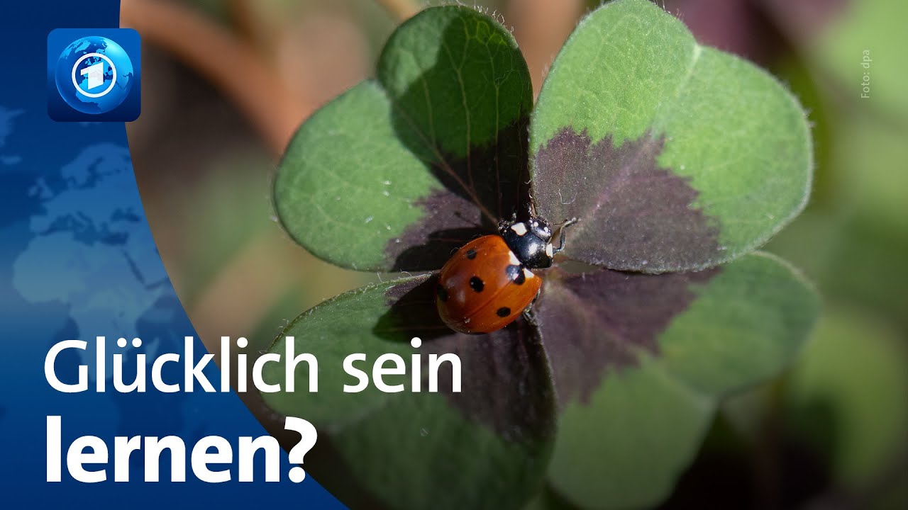 Kann man glücklich sein lernen?