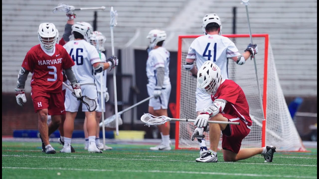 Sam King | Harvard Lacrosse | Career Highlights