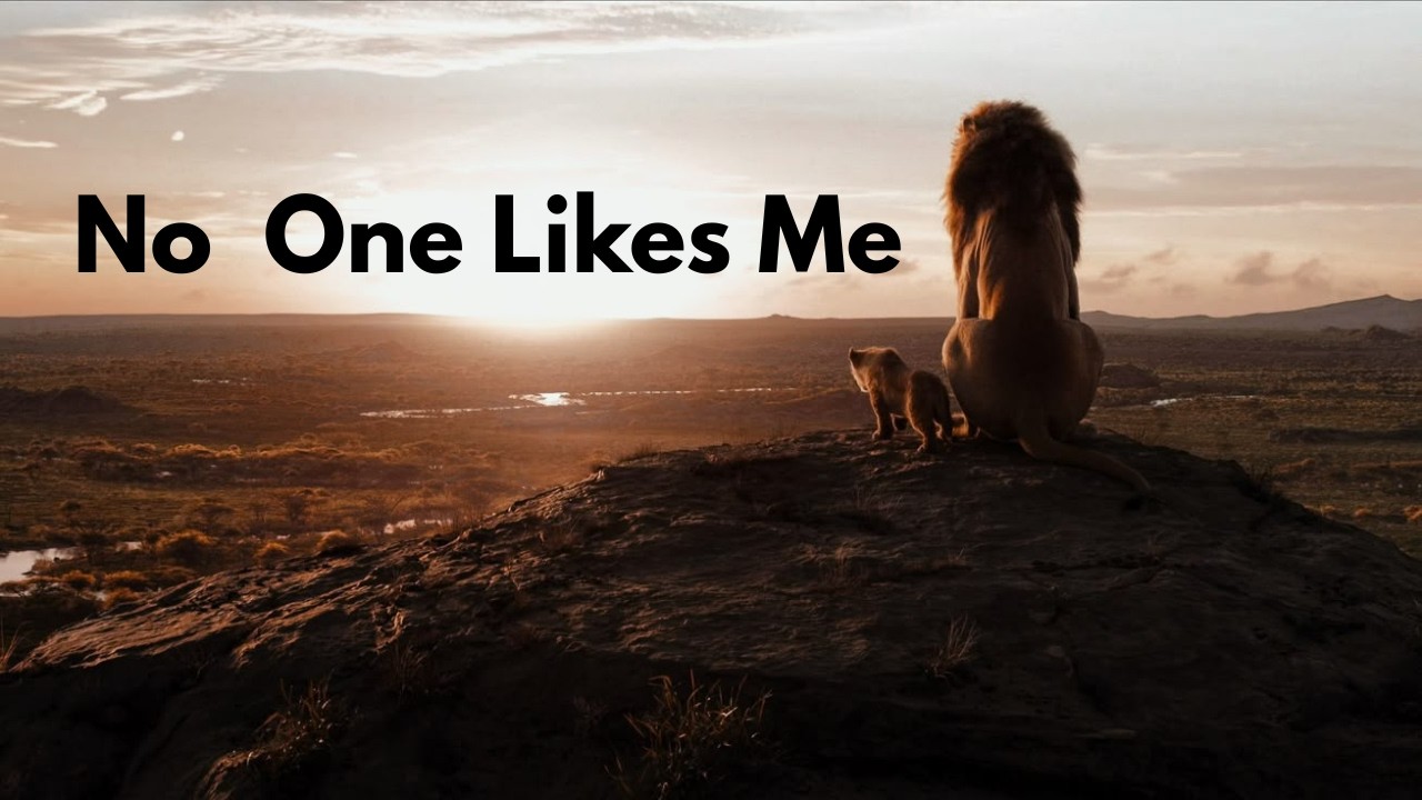No One Likes Me