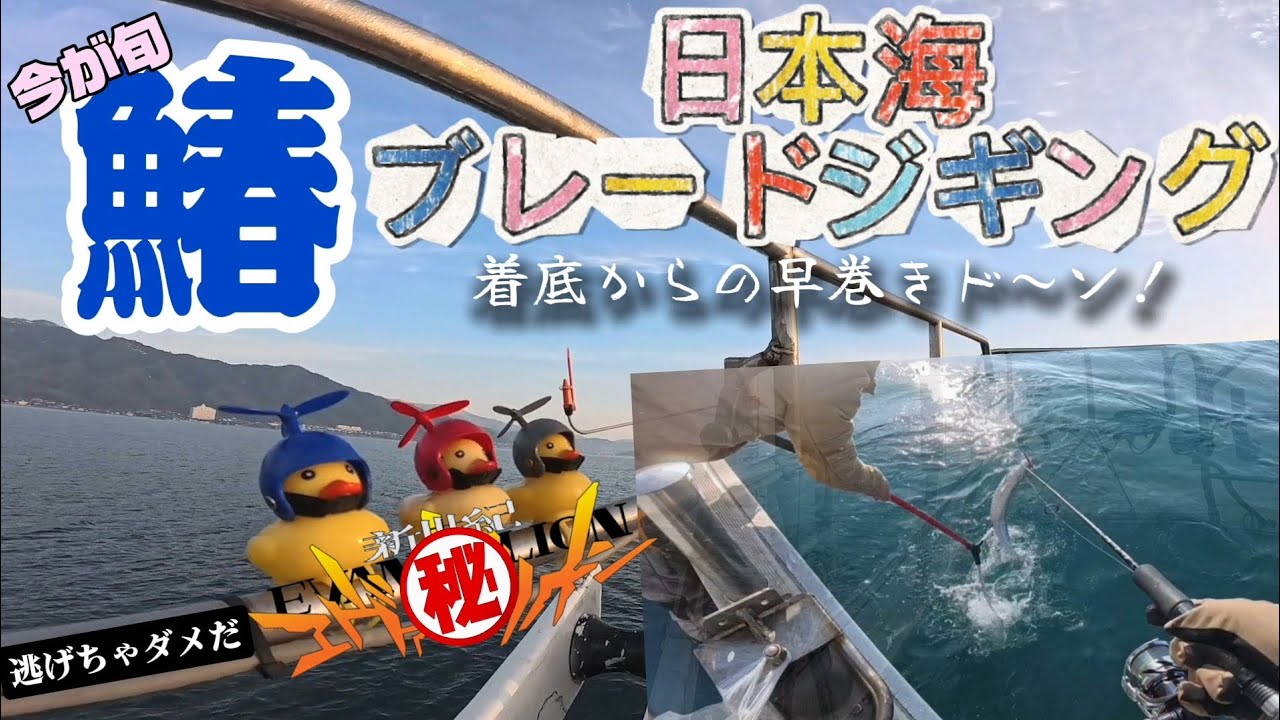 日本海ブレードジギング！特選京サワラをシバきに京都宮津へ。最後の最後でATフィールド全開！　#ブレードジギング#特選京鰆#ファイン#オフショア#エヴァンゲリオン