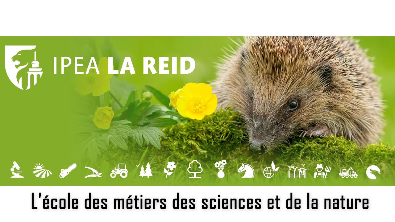 Visite de l'IPEA La Reid