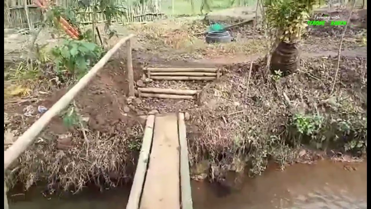 Start of our CRAYFISH FARMING and reflection on our farming journey