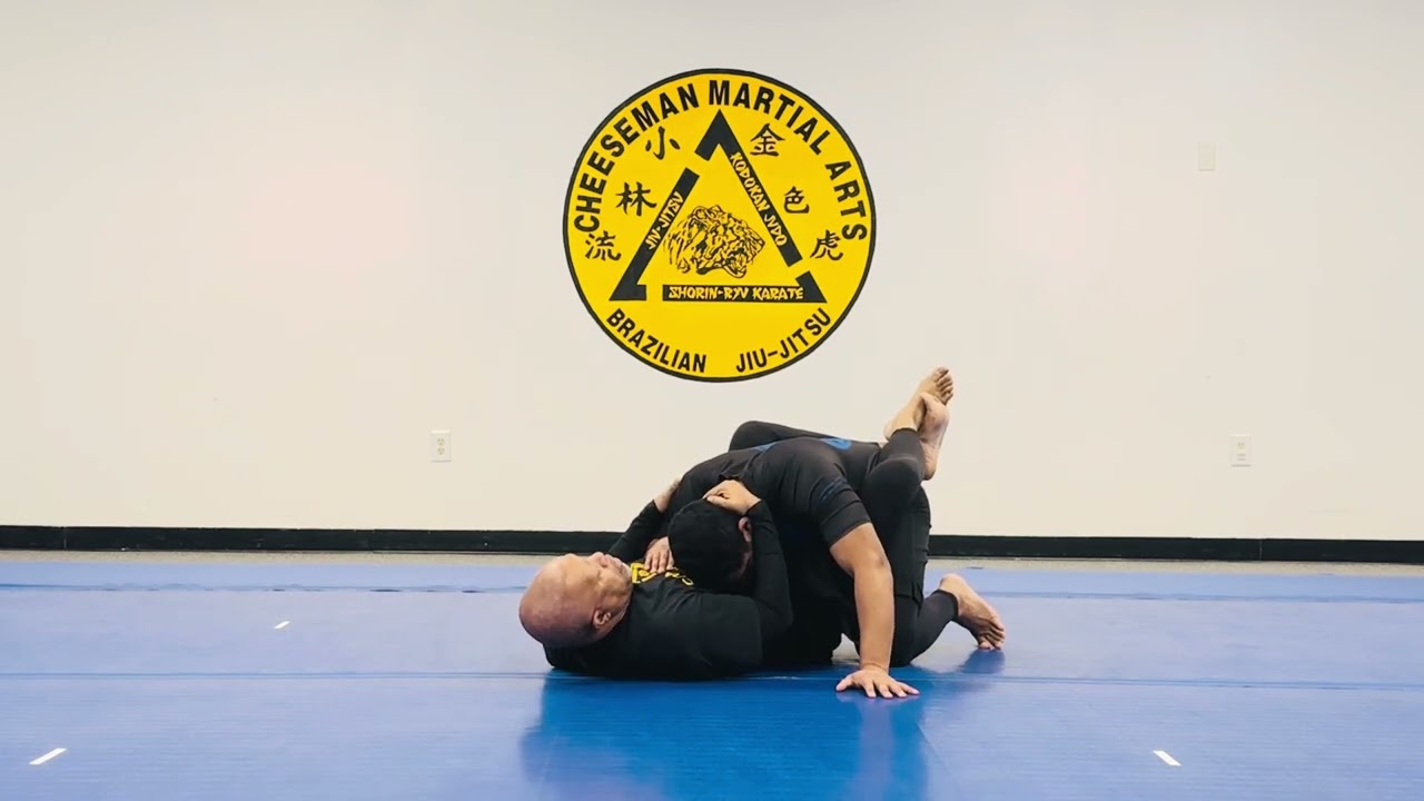 Jiu Jitsu Self Defense Blue Belt-Purple Belt Stripe 2 11. Armbar Failure to Triangle Transition 
