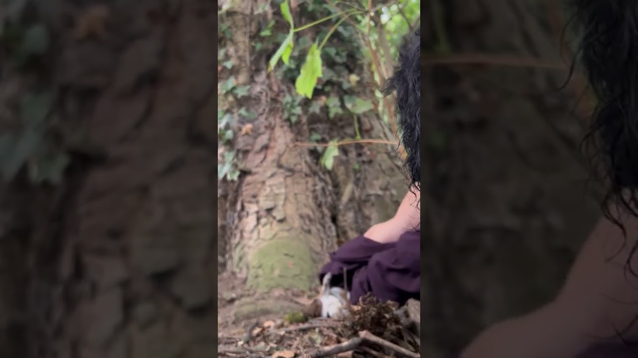 Man and Dogs Save Paralyzed Baby Squirrel || ViralHog