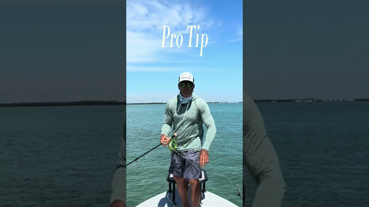 How to fly cast into the wind...Pro Tips