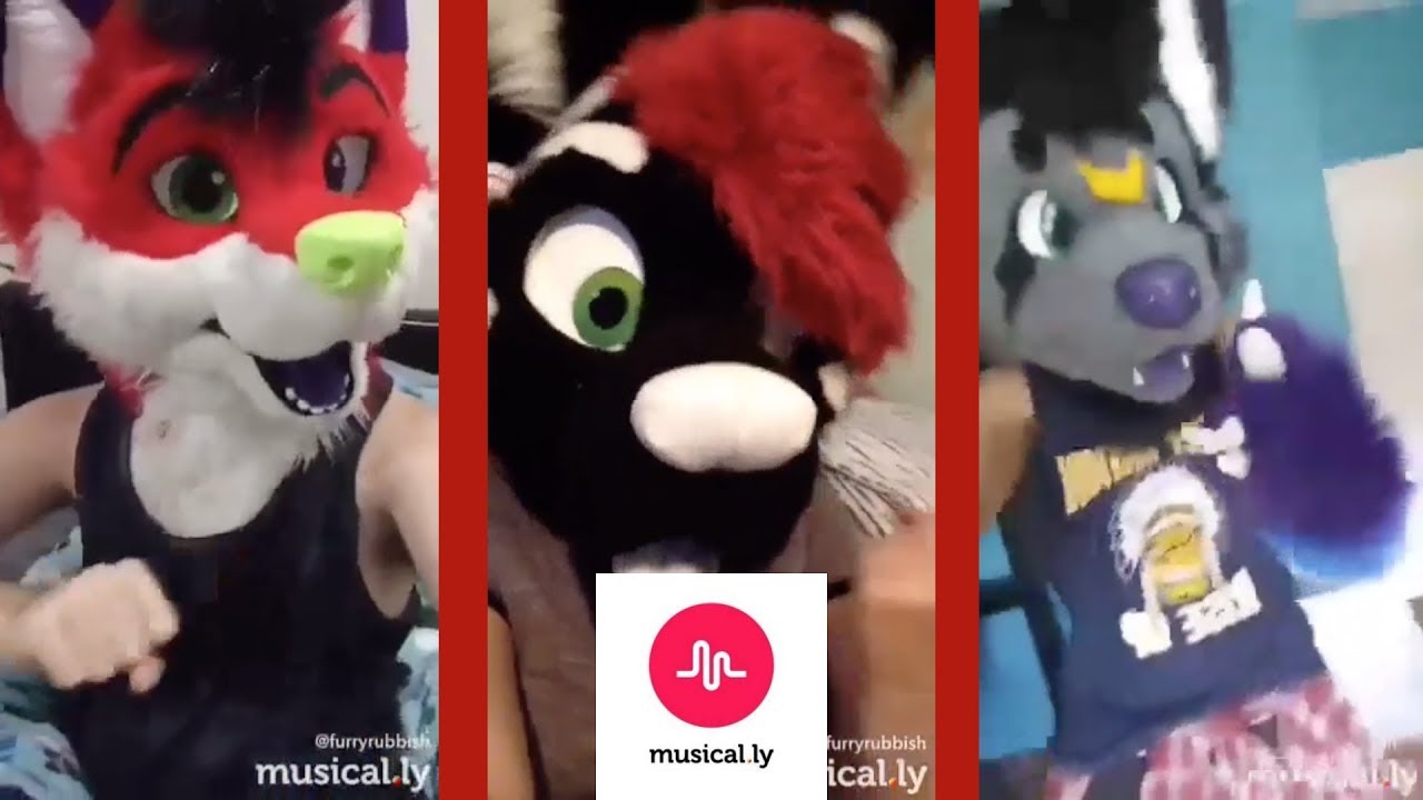 Furry Musical.ly Compilation #1 Ft Majira Strawberry, Hiplikekodahusky, Amaifanda and more